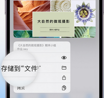 高要apple维修中心分享iPhone文件应用中存储和找到下载文件