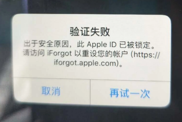 高要iPhone维修分享iPhone上正常登录或使用AppleID怎么办 