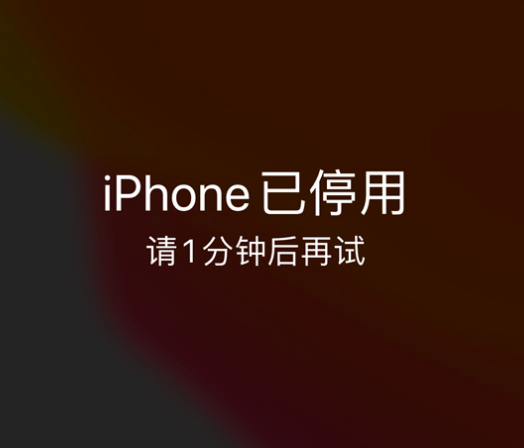 高要苹果手机维修分享:iPhone 显示“不可用”或“已停用”怎么办？还能保留数据吗？ 