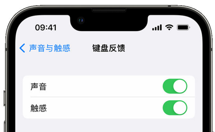 高要苹果手机维修分享iPhone 14触感键盘使用方法 