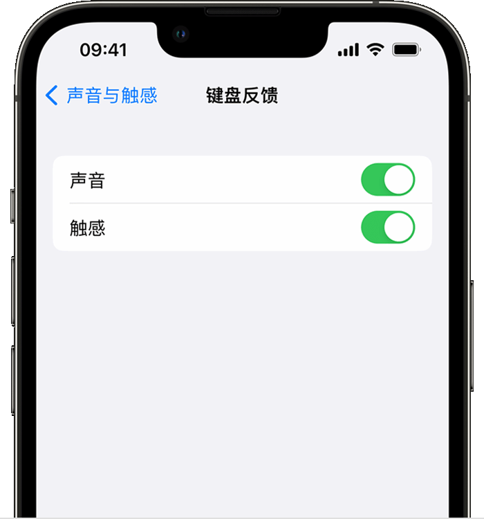 高要苹果14维修店分享如何在 iPhone 14 机型中使用触感键盘 