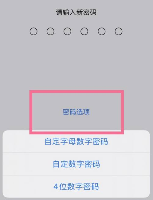 高要苹果14维修分享iPhone 14plus设置密码的方法 