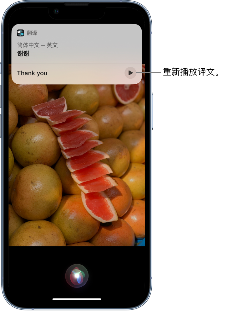 高要苹果14维修分享 iPhone 14 机型中使用 Siri：了解 Siri 能帮你做什么 