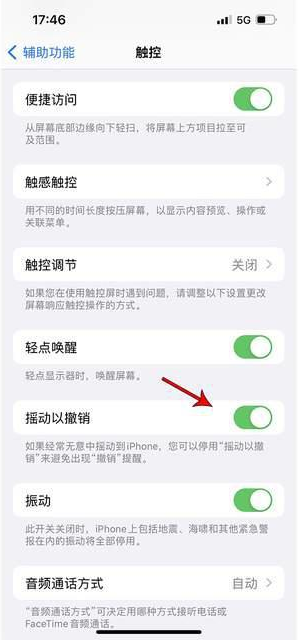 高要苹果手机维修分享iPhone手机如何设置摇一摇删除文字 